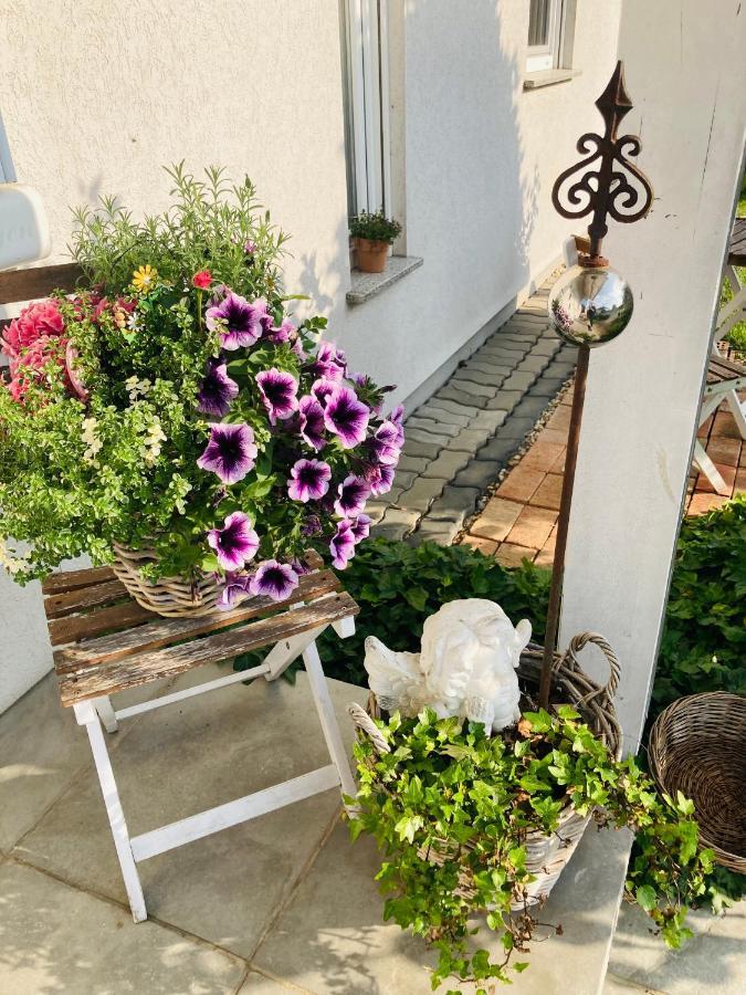 Das Ferienhaus-Zurueck Zum Ursprung Güssing Eksteriør billede